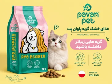 غذای گربه پاوان پت
