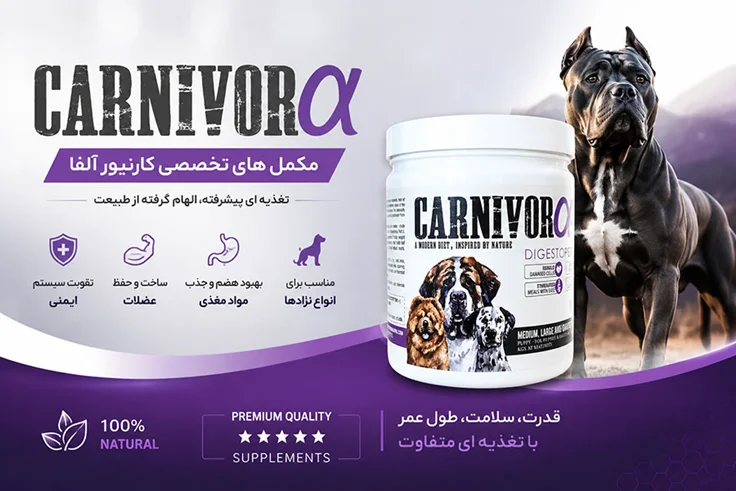 مکمل های تخصصی کارنیور آلفا