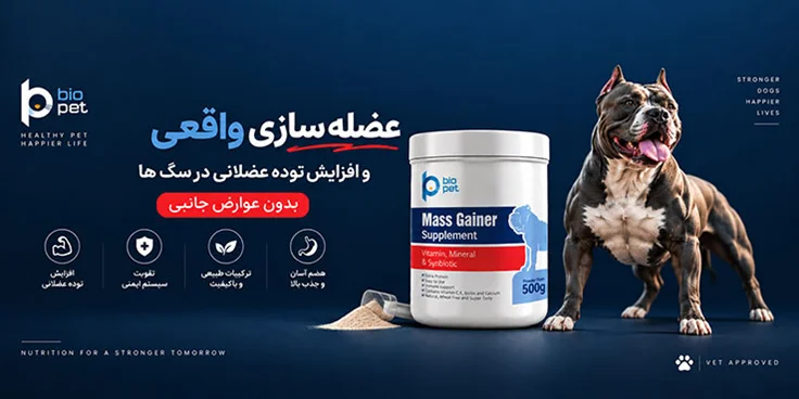 مس گینر بایوپت