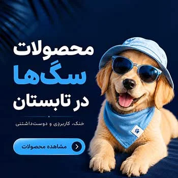 تابستان سگ ها