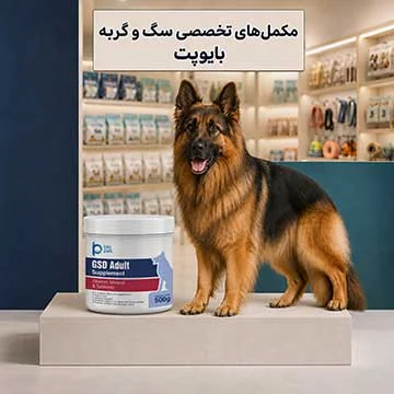 بایوپت