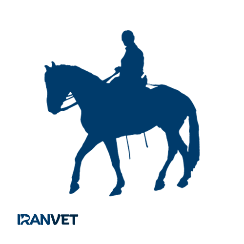 لوازم سوارکاری