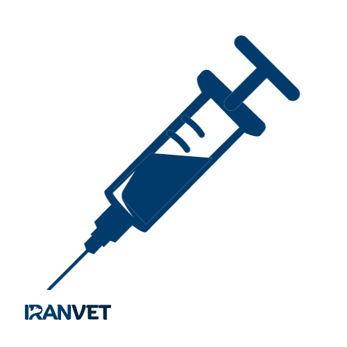 سرنگ اتوماتیک