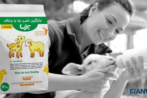 شیرخشک بره را چگونه استفاده کنیم ؟