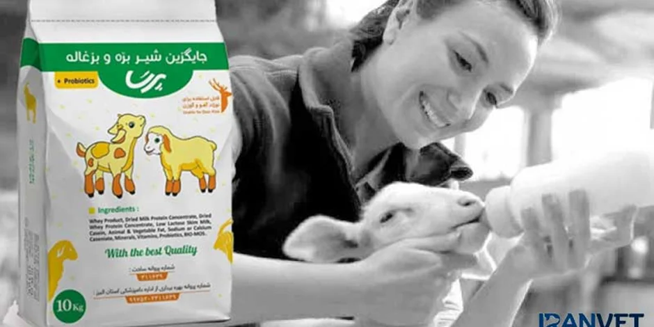 شیرخشک بره را چگونه استفاده کنیم ؟