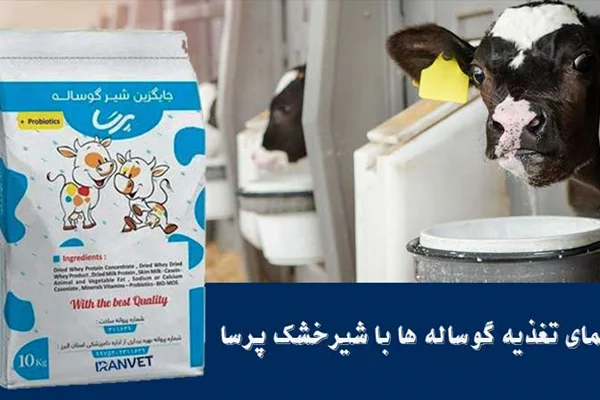راهنمای استفاده از شیرخشک گوساله پرسا