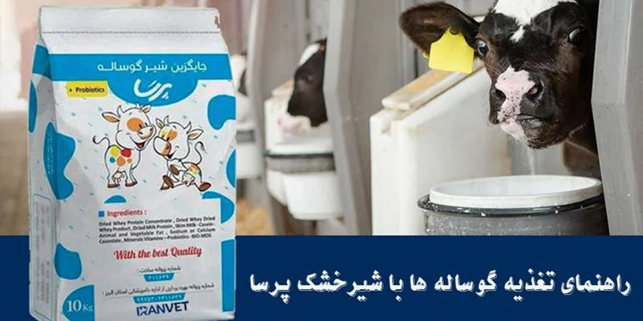 راهنمای استفاده از شیرخشک گوساله پرسا