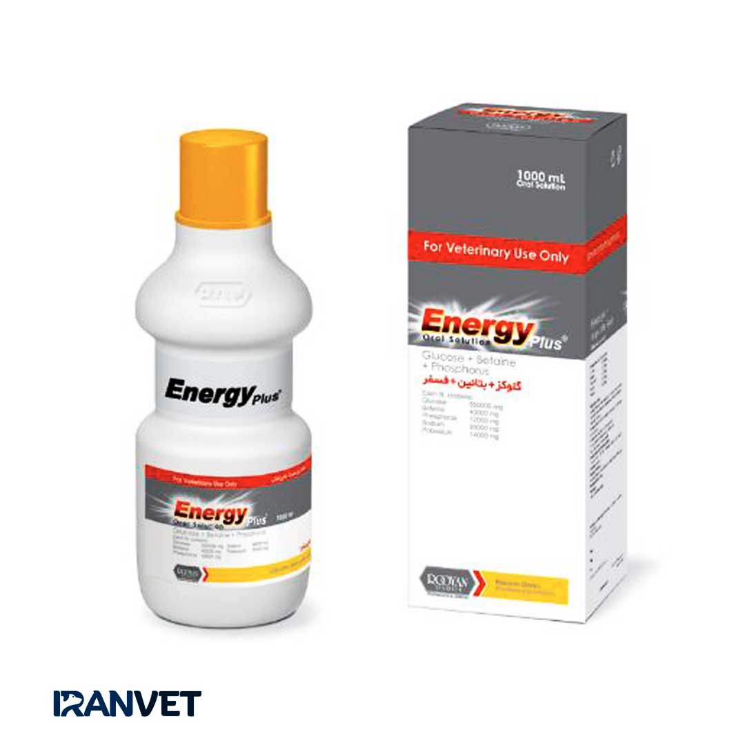 انرژی پلاس رویان | Energy Plus