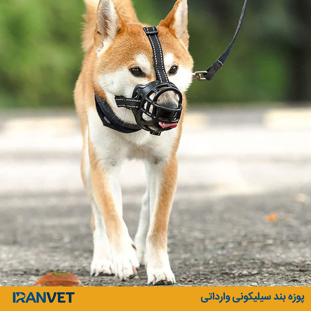 پوزه بند سیلیکونی وارداتی برند CHENGNAN