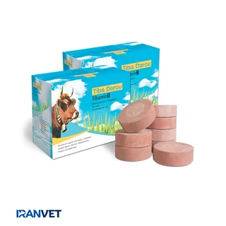 آجر لیسیدنی تیبامین یک فسفر دار